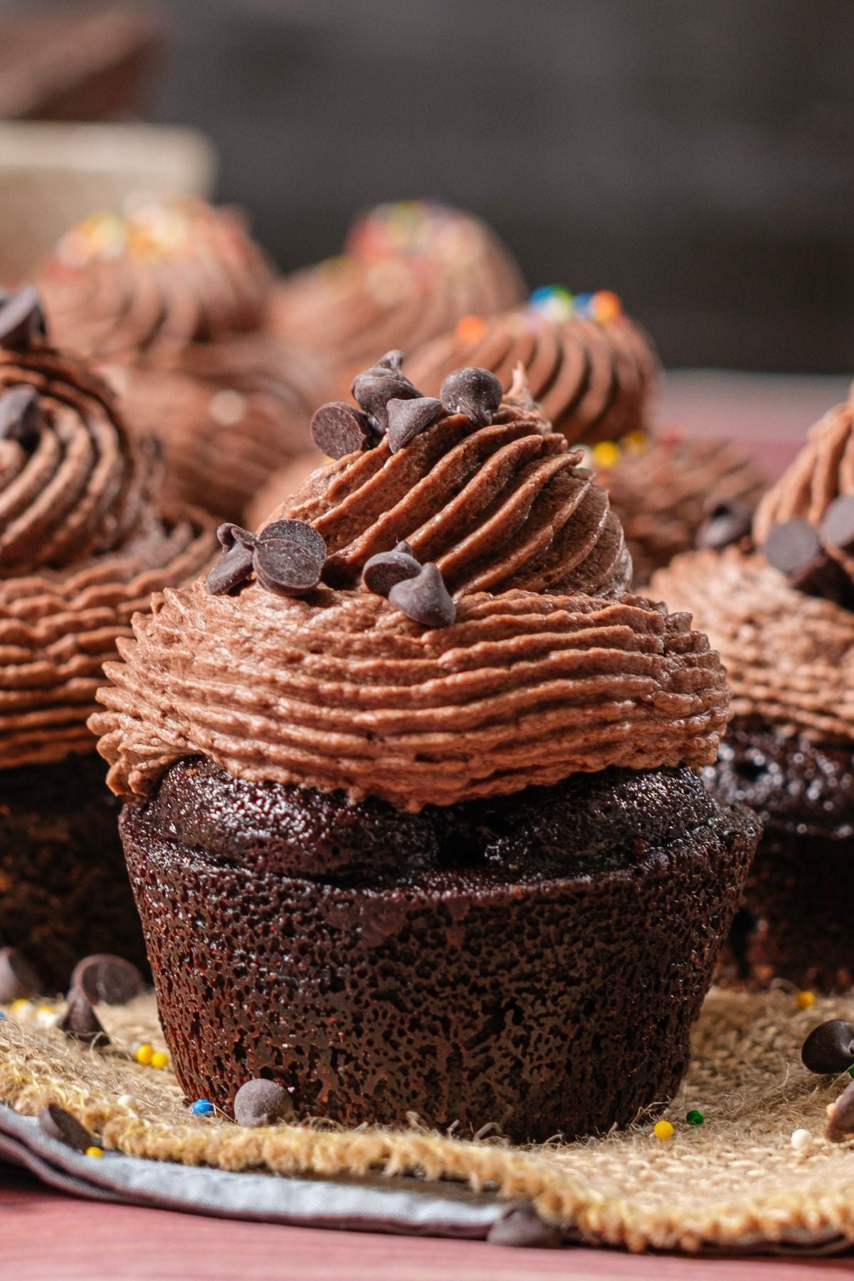 Moist Chocolate Cupcakes with Ganache — PLR Recipe Content Pack for Food Bloggers