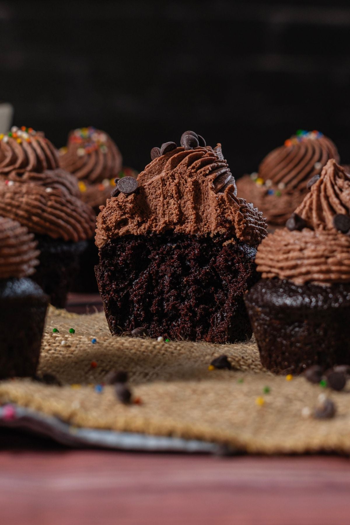 Moist Chocolate Cupcakes with Ganache — PLR Recipe Content Pack for Food Bloggers
